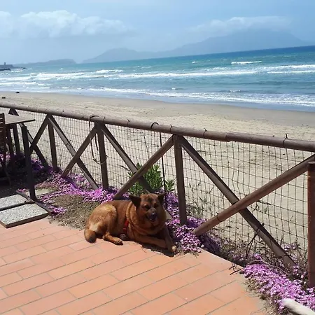 Rocky & Lia *